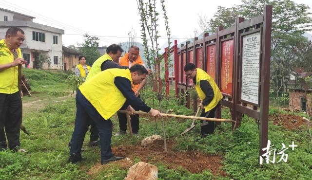眾人齊心合力種樹(shù)。